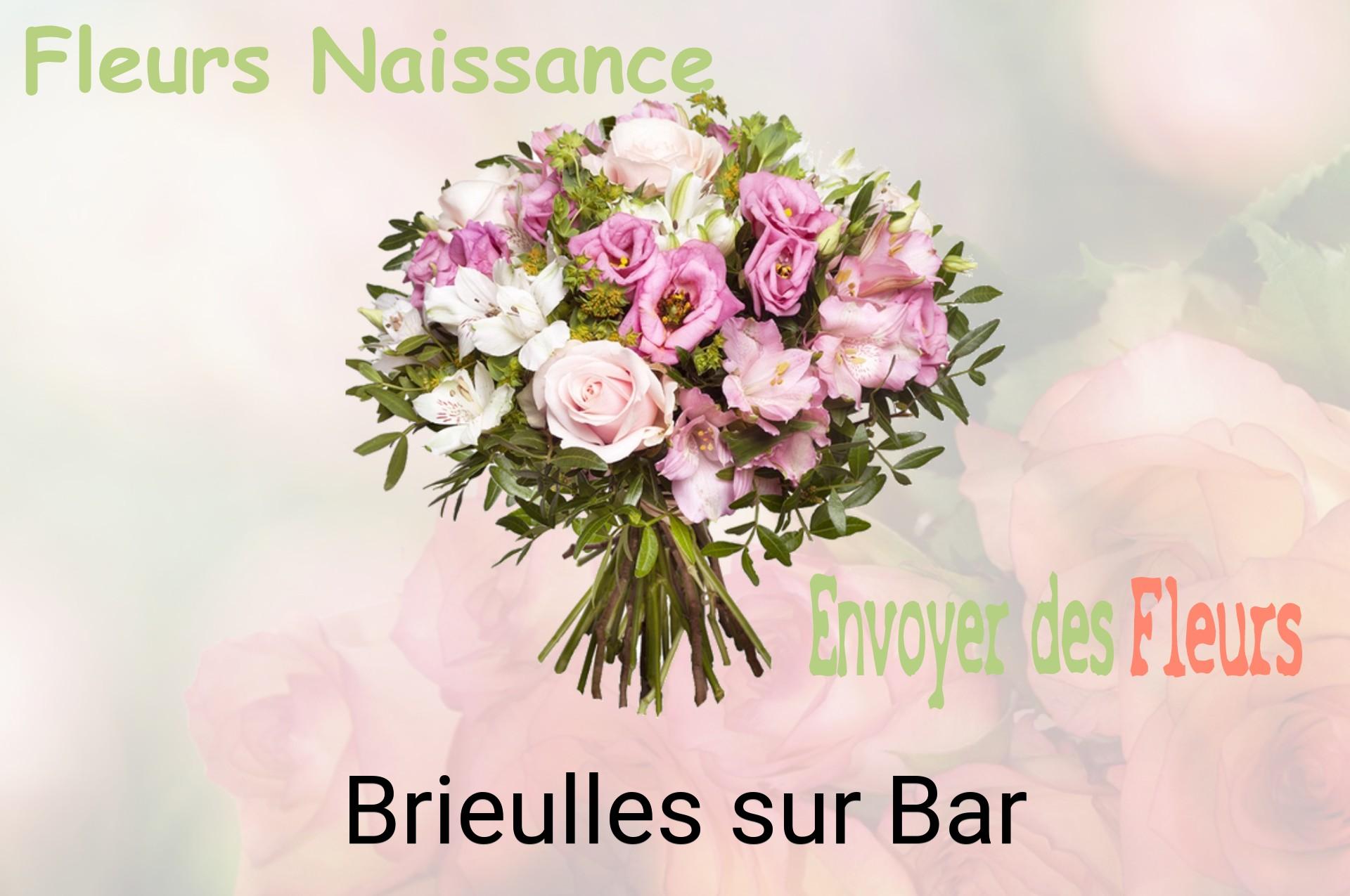 Bouquet de fleurs de naissance livré à Brieulles-sur-Bar
